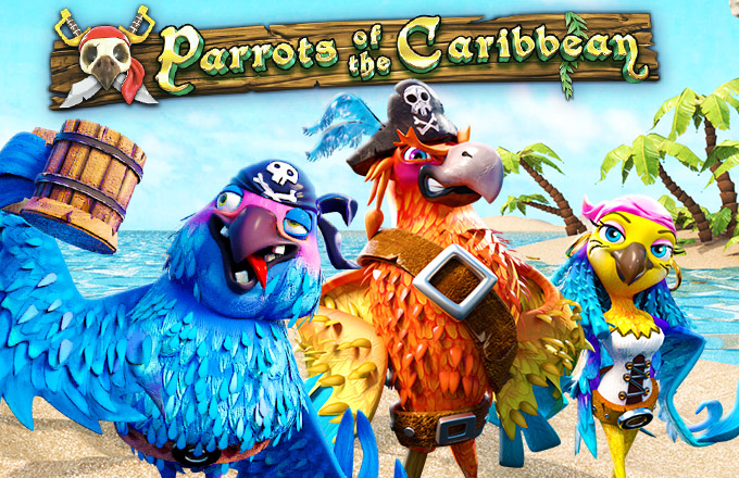 parrots_feature_image_2.jpg